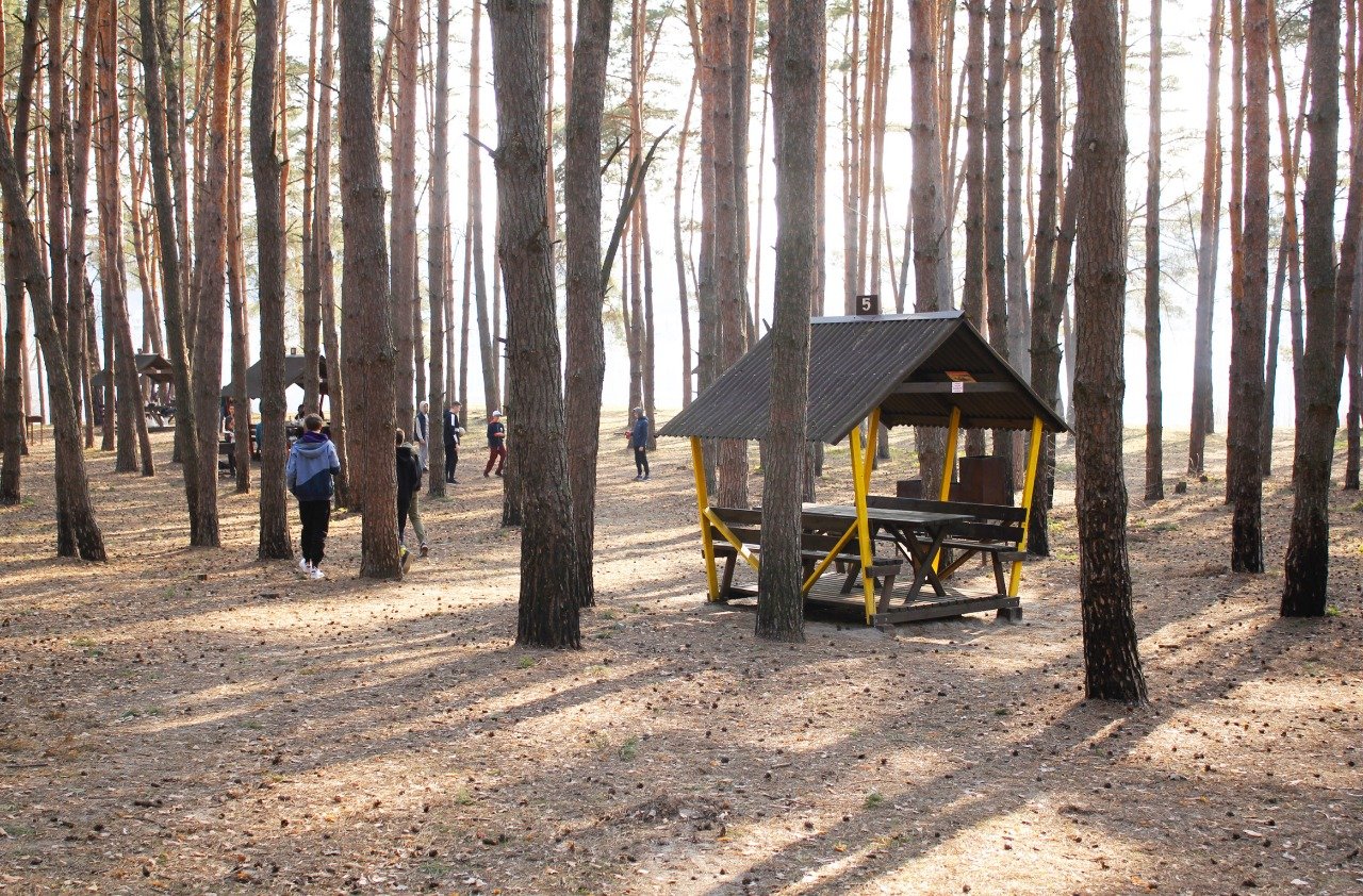 парк пикник в белгороде