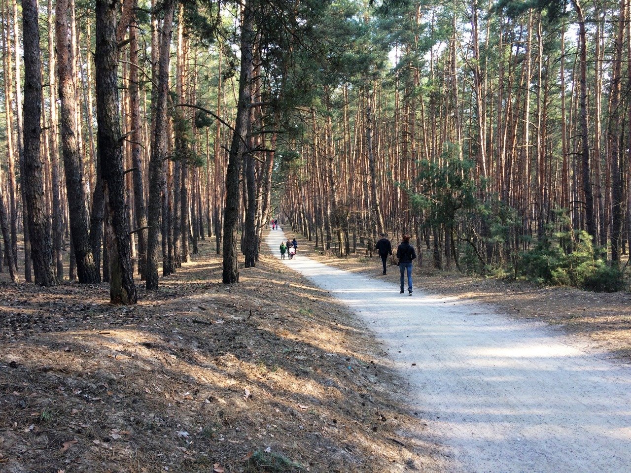 пикник парк белгород