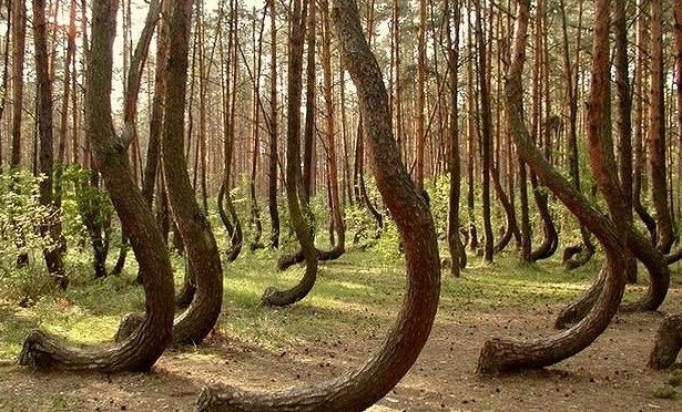 Самые известные мистические и аномальные зоны России: жутко и интересно