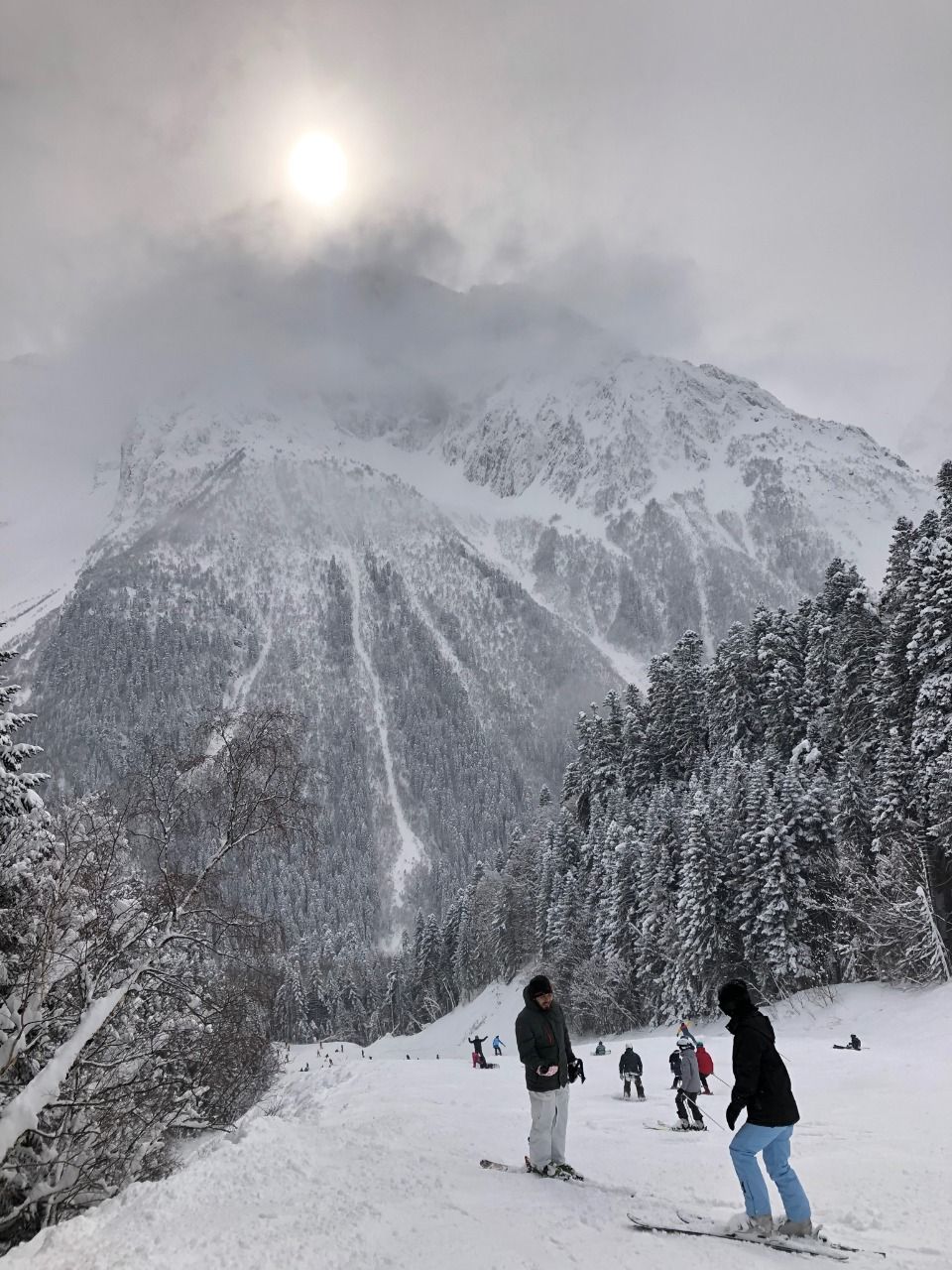 Домбай Лесная трасса