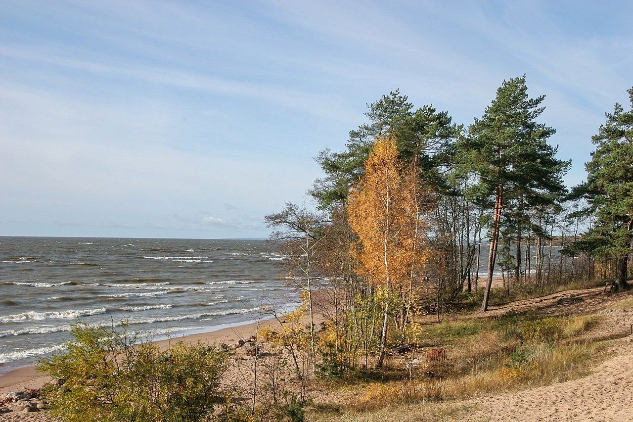 Финский залив в Санкт Петербурге Репино