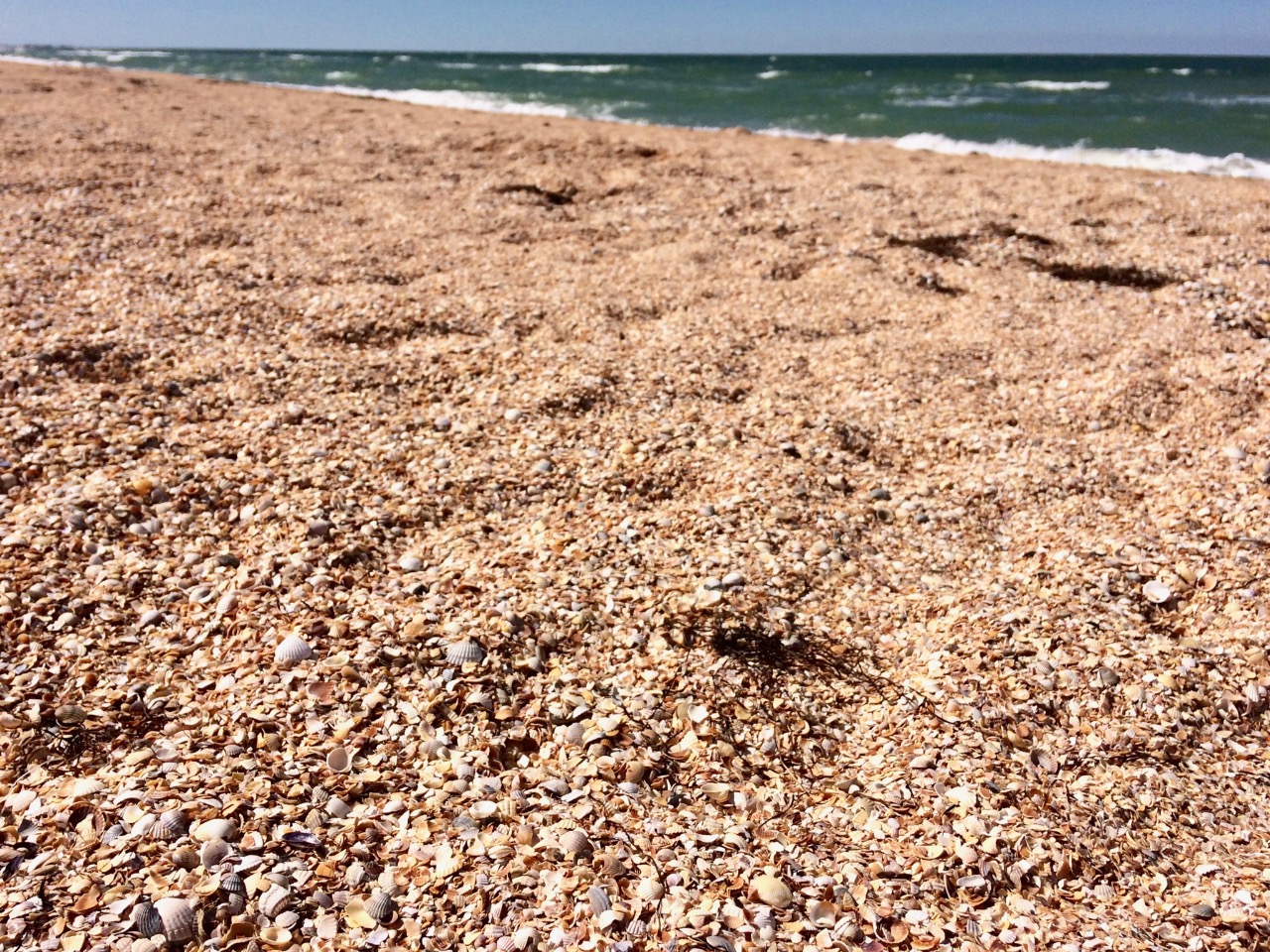 Арабатская Стрелка