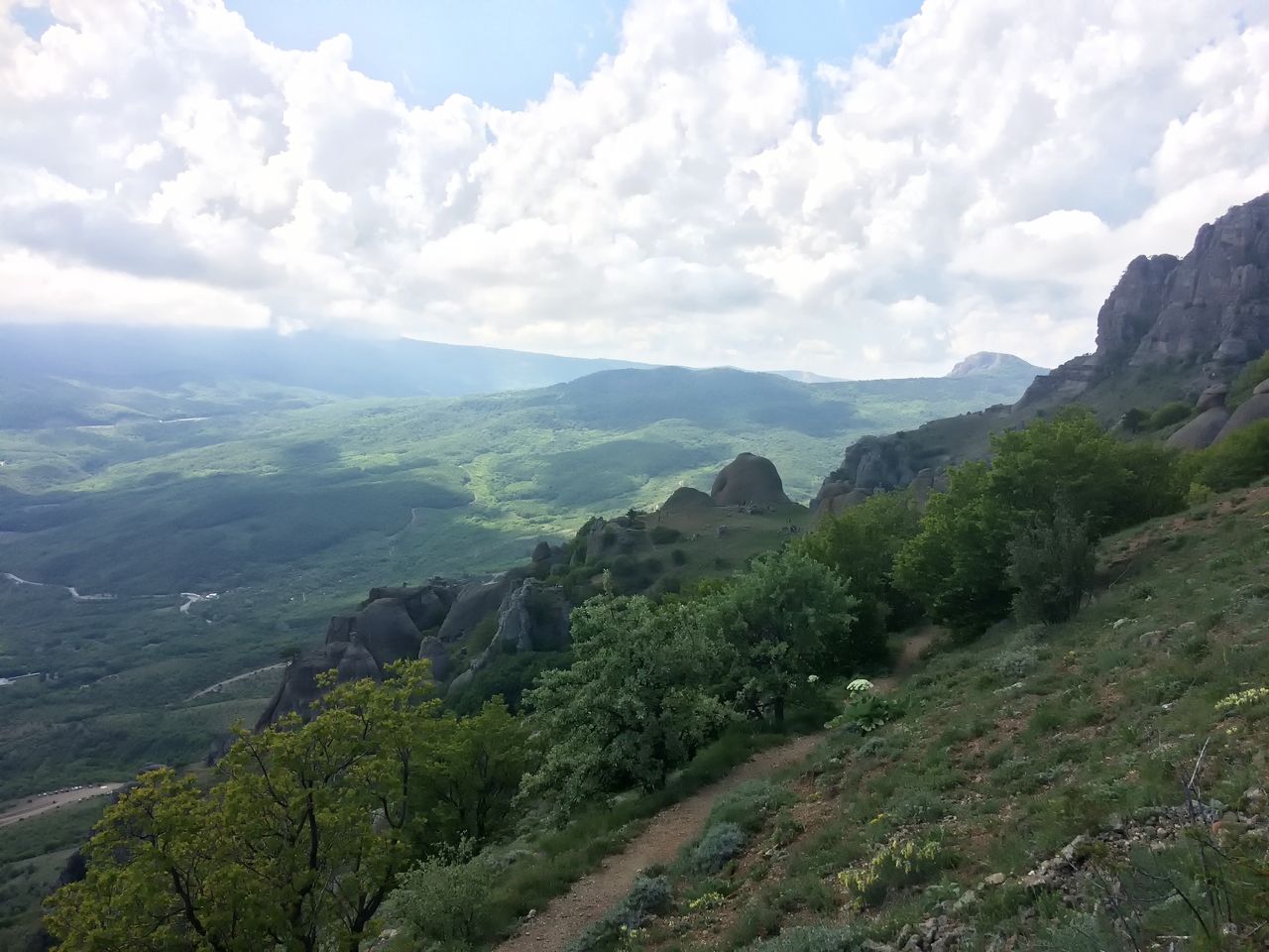 Солнечная поляна