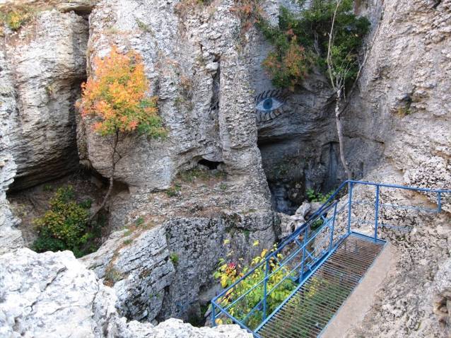 Трехглазка