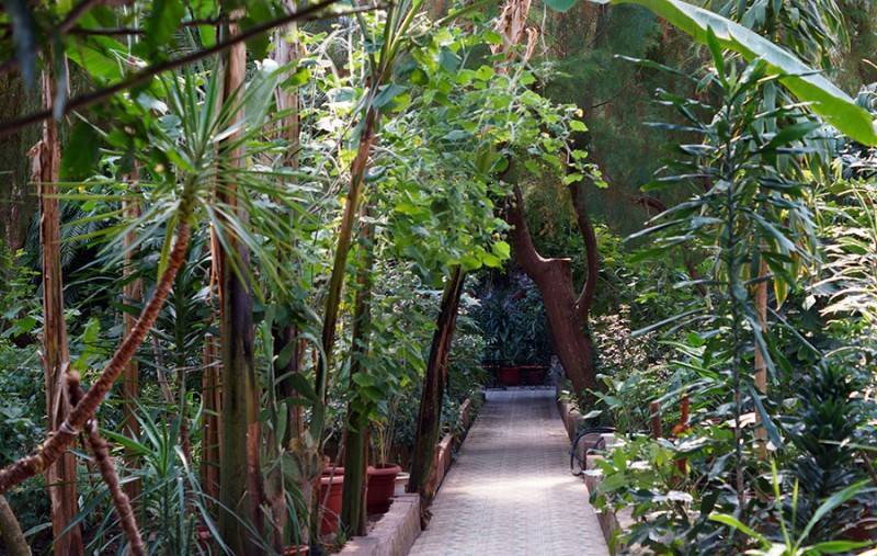 Башкирский ботанический сад