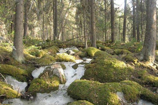 Природный парк «Иремель»