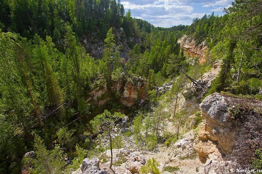 Лог это. Тараканий Лог Пинега. Лог 