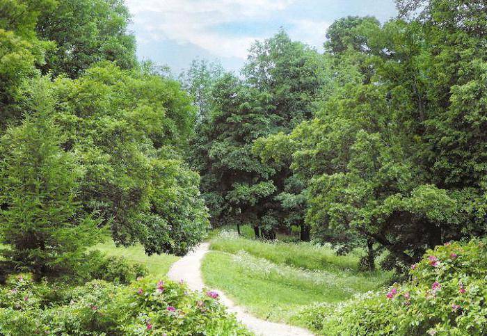 «Тропа чудес» в Кадаргаване