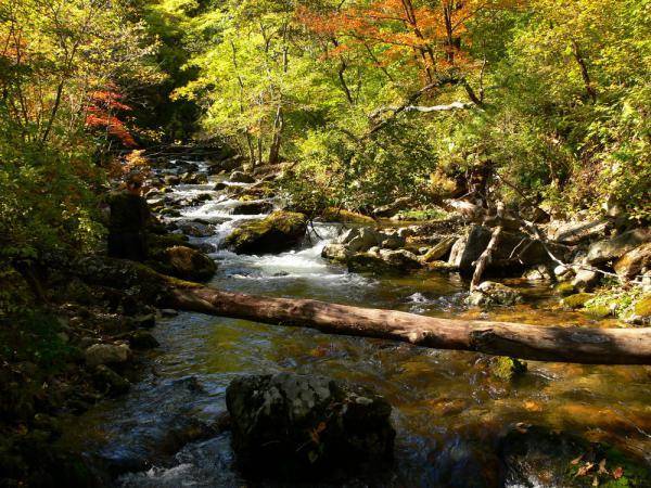 Ворошиловские водопады