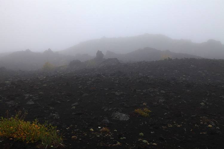 «База Луноходчиков»