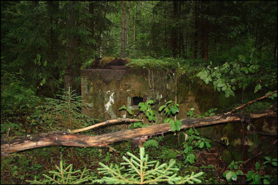 Доты на реке Свирь