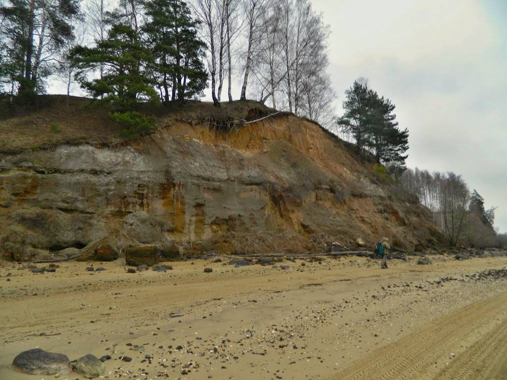 Глебовское обнажение