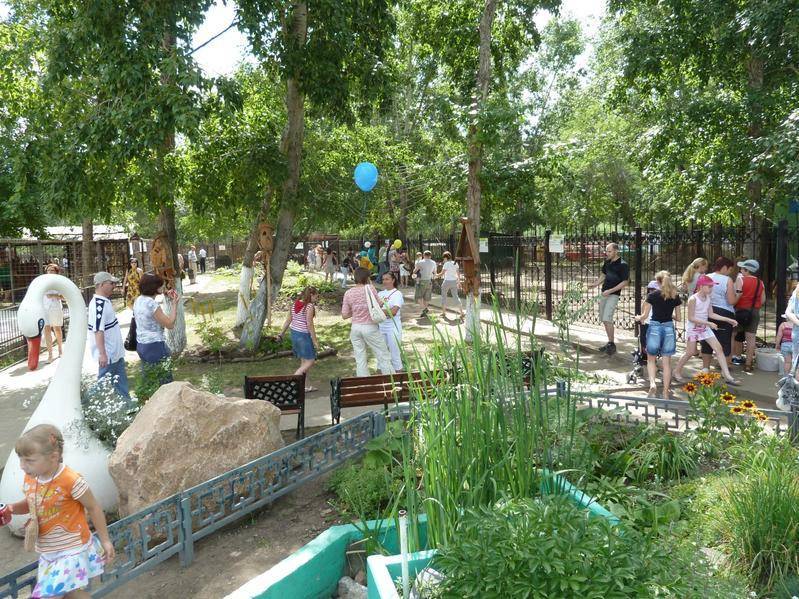 Лесная сказка