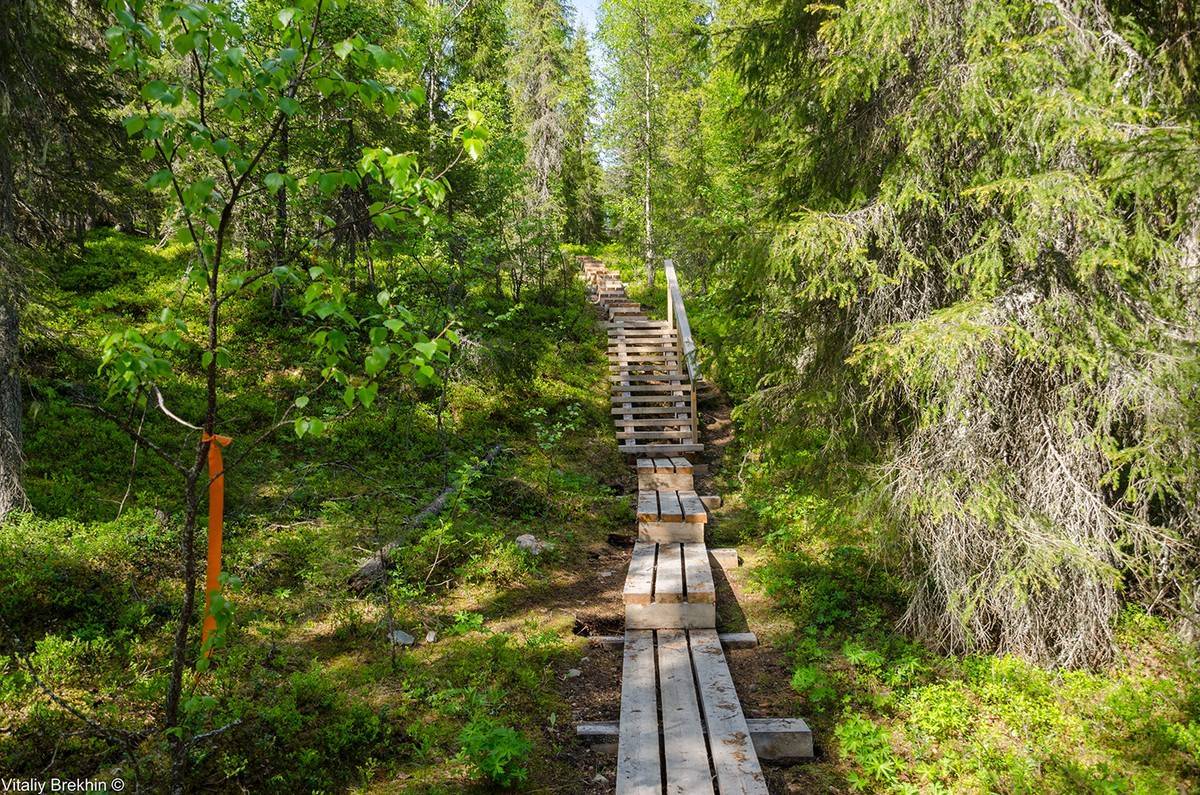 Национальный парк "Паанаярви"