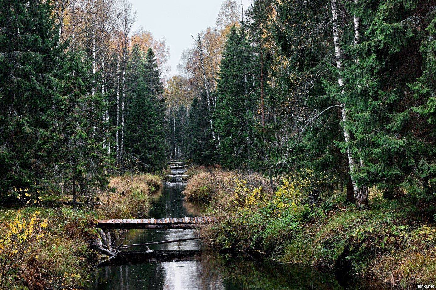 Национальный парк «Валдай»