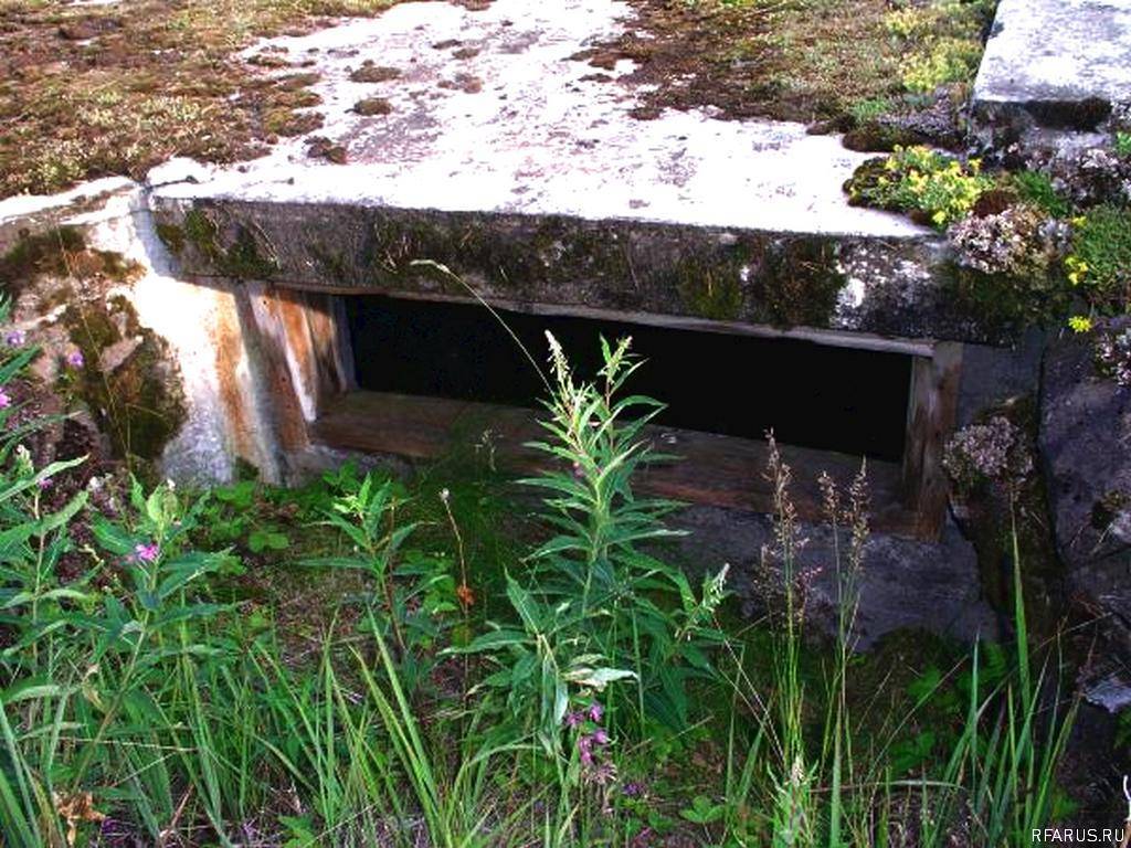 Остров Сухой (Оборонный)