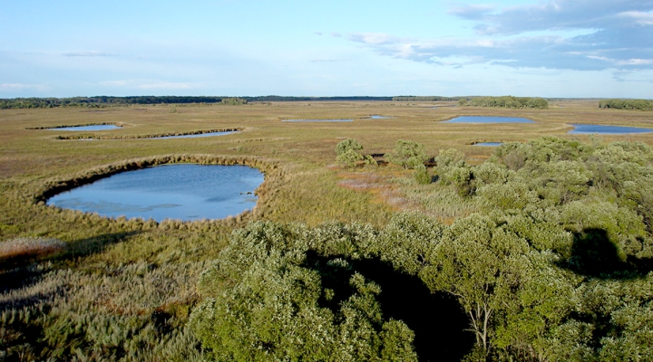 Заповедник Бастак