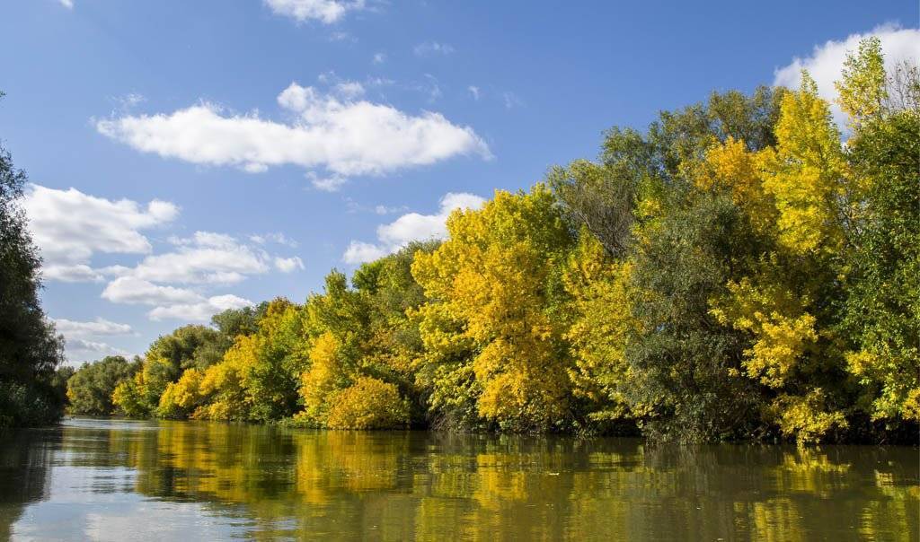 Астраханский биосферный заповедник