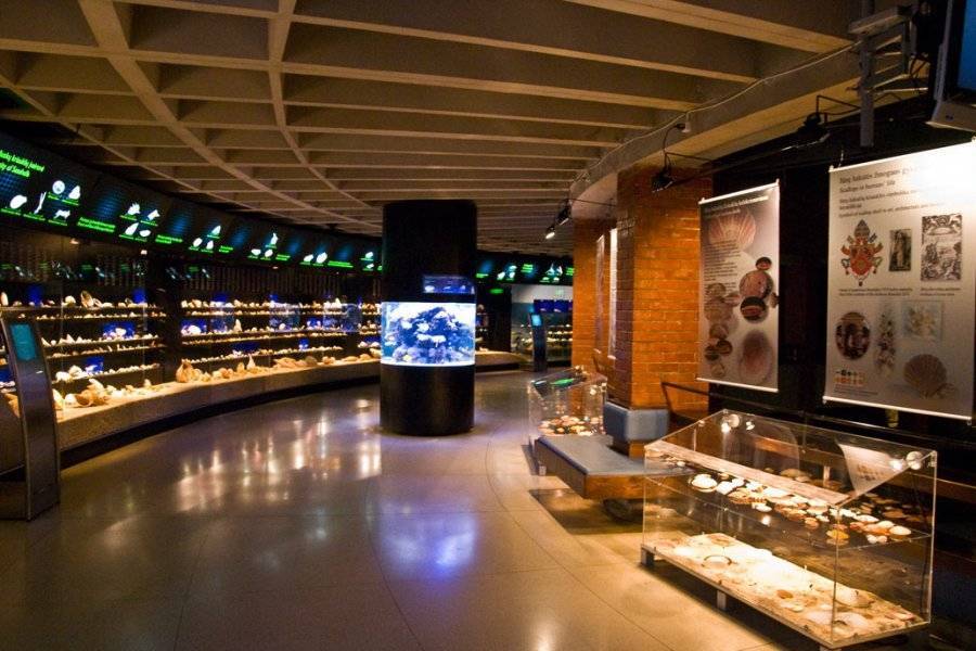 Морской аквариум-музей