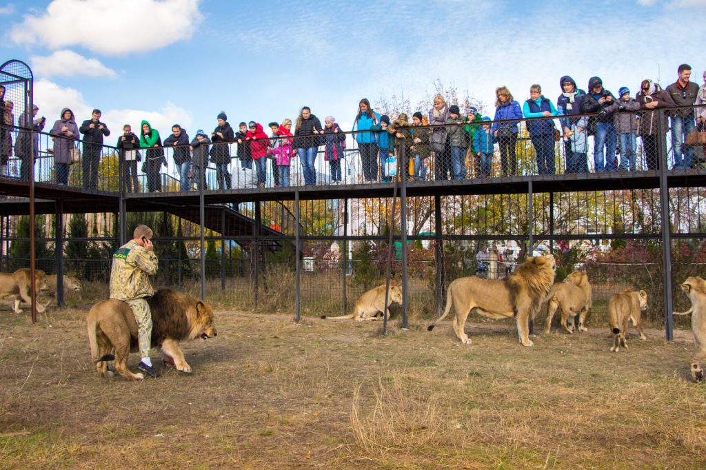 Парк львов "Тайган"