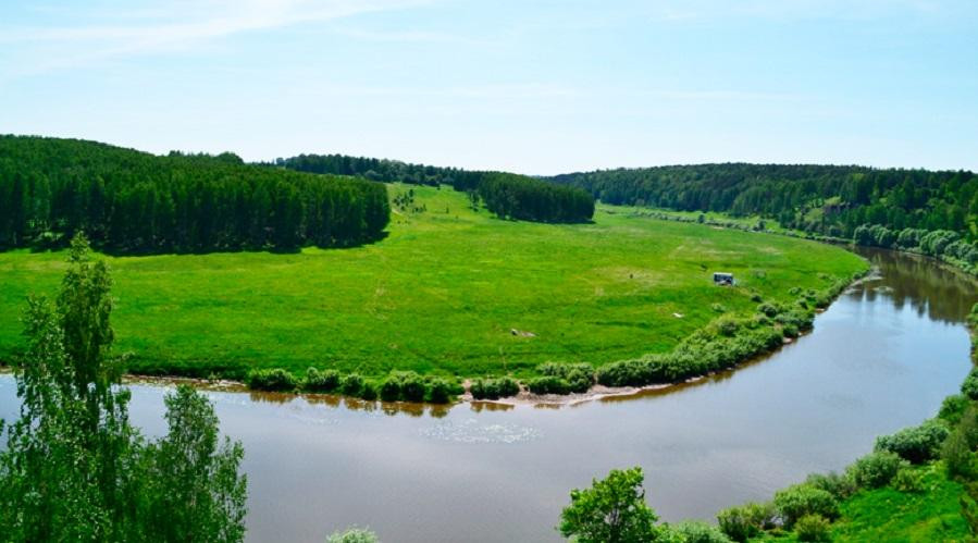 Государственный природный заказник "Пижемский"