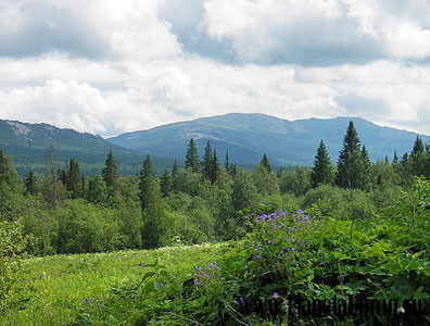 Государственный природный заповедник "Нургуш"