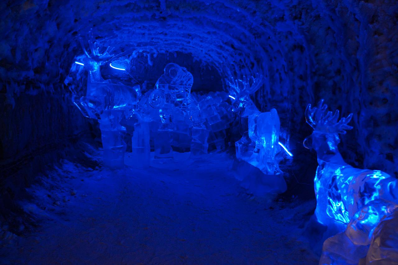 Царство вечной мерзлоты