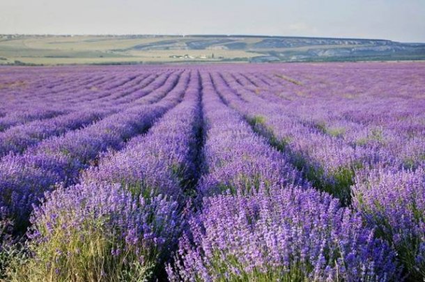 Где сфотографироваться в Крыму?