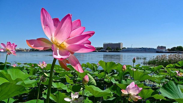 Курорты Каспийского моря в России