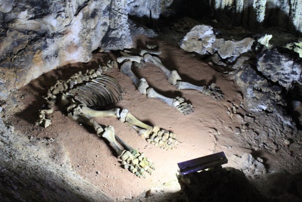 Мамонтовая пещера: путешествие на 8 млн лет назад!