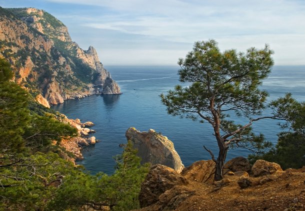 7 главных причин побывать летом в Крыму