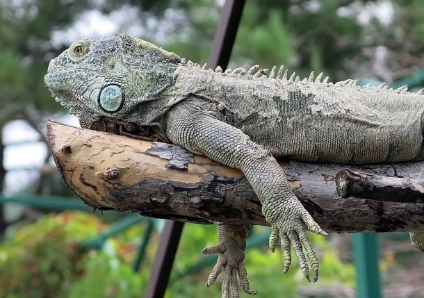 Достопримечательности по трассе М4 «Дон»