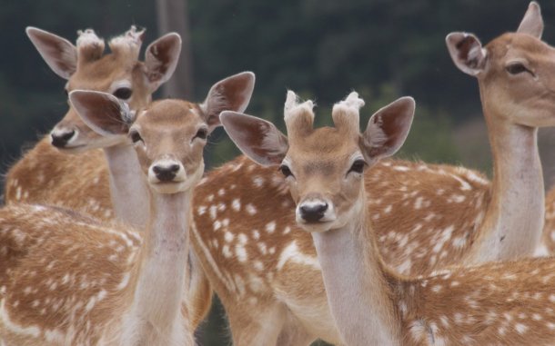 Куда съездить на выходные из Екатеринбурга