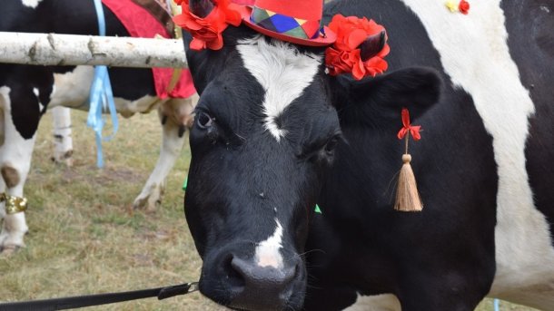 Съедобный сентябрь: ТОП-10 самых интересных гастрономических фестивалей ранней осени