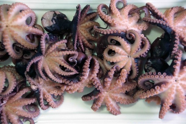 Что привезти из Приморского края?