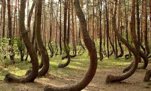 Самые известные мистические и аномальные зоны России: жутко и интересно