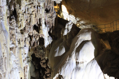 Мамонтовая пещера: путешествие на 8 млн лет назад!