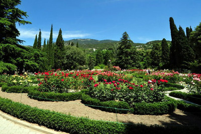 Никитский ботанический сад: стоит ли его посетить?