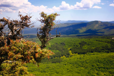 Мангуп-Кале