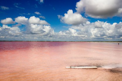 Розовые озера России