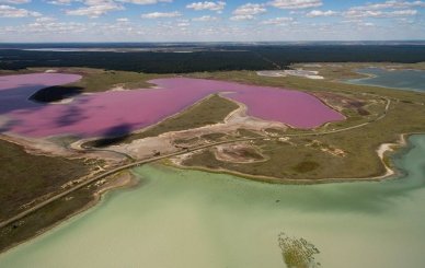 Розовые озера России