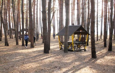Сосновый лес в 15 минутах от Белгорода со всем необходимым для отдыха