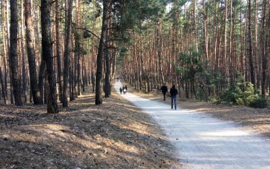 Пикник-Парк