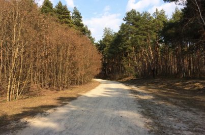 Пикник-Парк