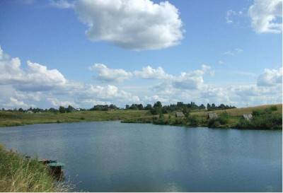 Алёшинский пруд