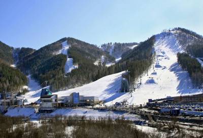 Бобровый лог