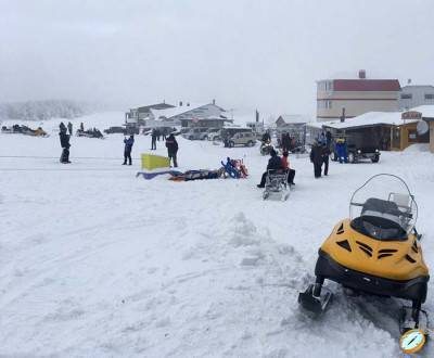 Лягушатник