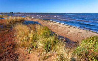 Посольский сор (Култушная)