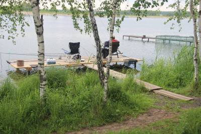 Серебряная чаша