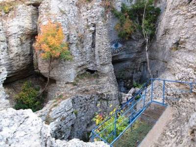 Трехглазка